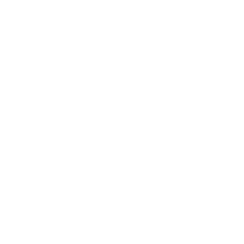 Software personalizado